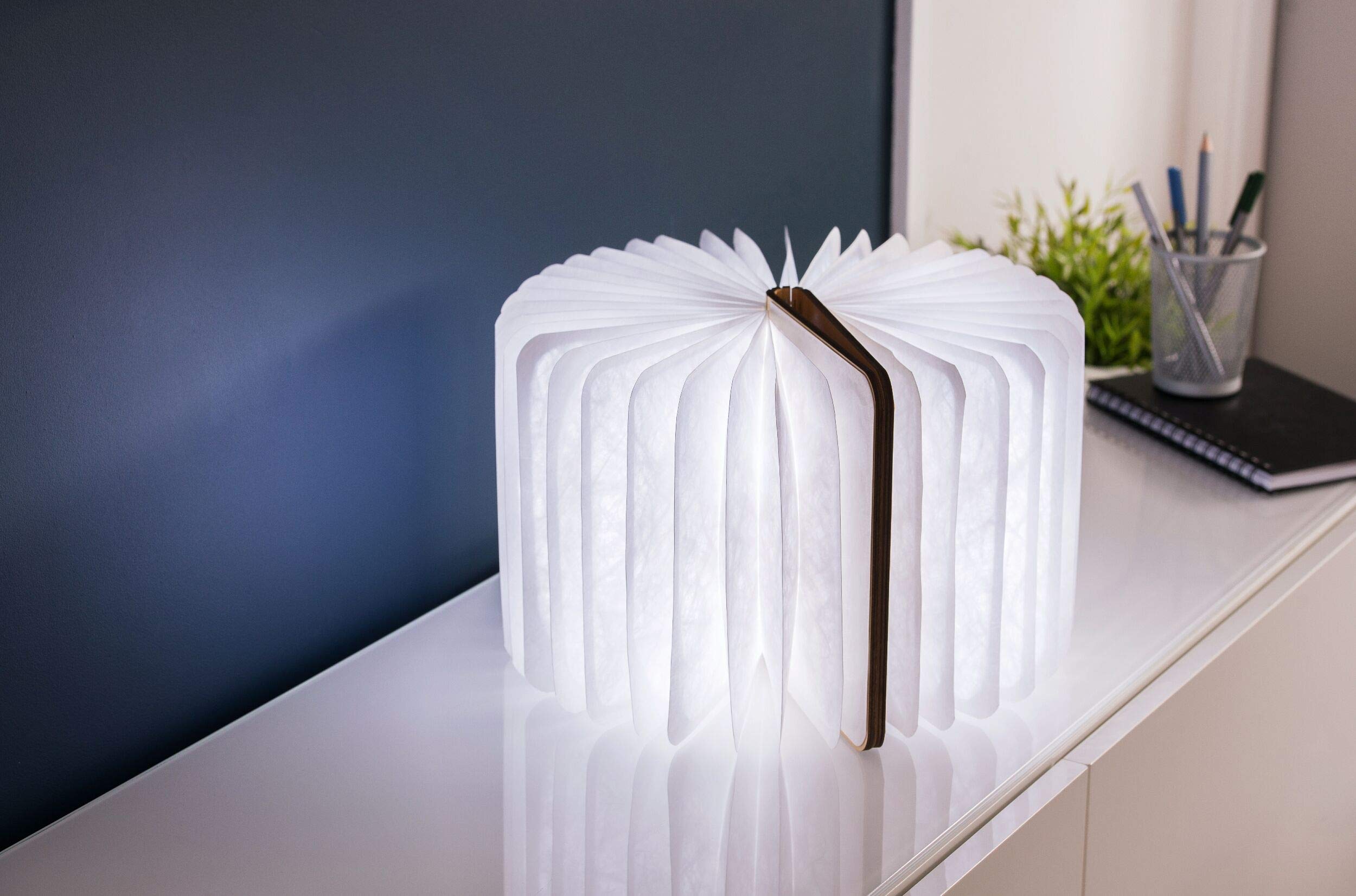 Gingko LED Smart Book Desk Light with Natural Wood Effect Finish - Rechargeable USB Reading Lamp, Adjustable Brightness & Color Temperature for Study, Office, and Bedroom Use - Maple Design