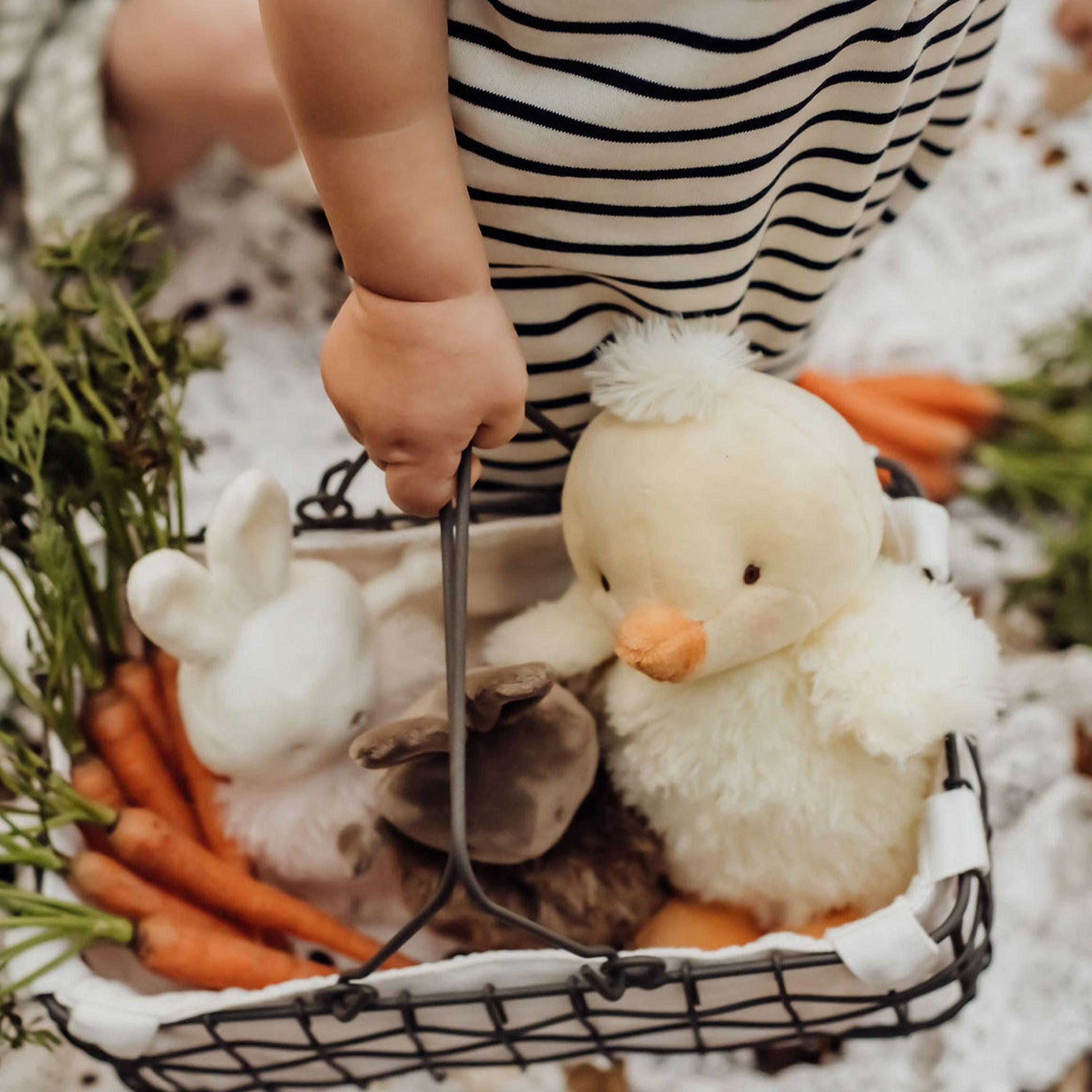 Wee Peep - Adorable Baby Shoes for Newborns & Infants | Perfect for First Steps, Photo Shoots & Special Occasions