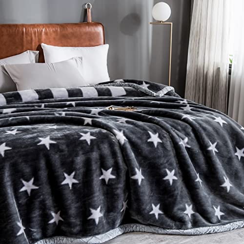 Premium Korean Mink Blanket - Heavyweight 8 lbs Fleece Blanket Queen Size (80x90 inches) - 2 Ply Ultra Soft Plush Raschel Bedding for Winter Warmth - Perfect for Home, Bedroom, Sofa & Cozy Gift Giving