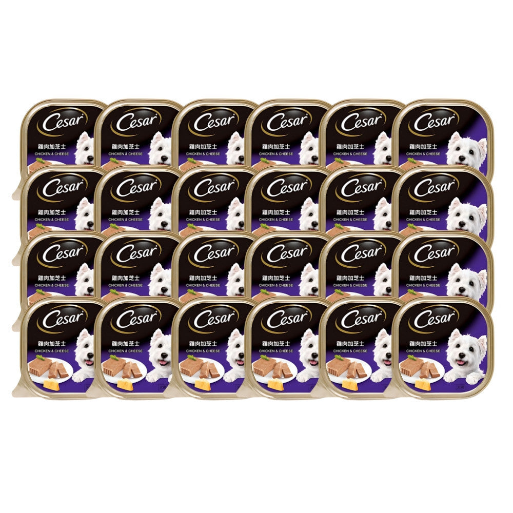24-Pack Cesar Dog Tray Wet Food Variety Pack - 100g Beef, Lamb, Chicken, Roast Turkey & Vegetable, Chicken & Cheese Flavors | Perfect for Small Dogs, Travel & Meal Toppers