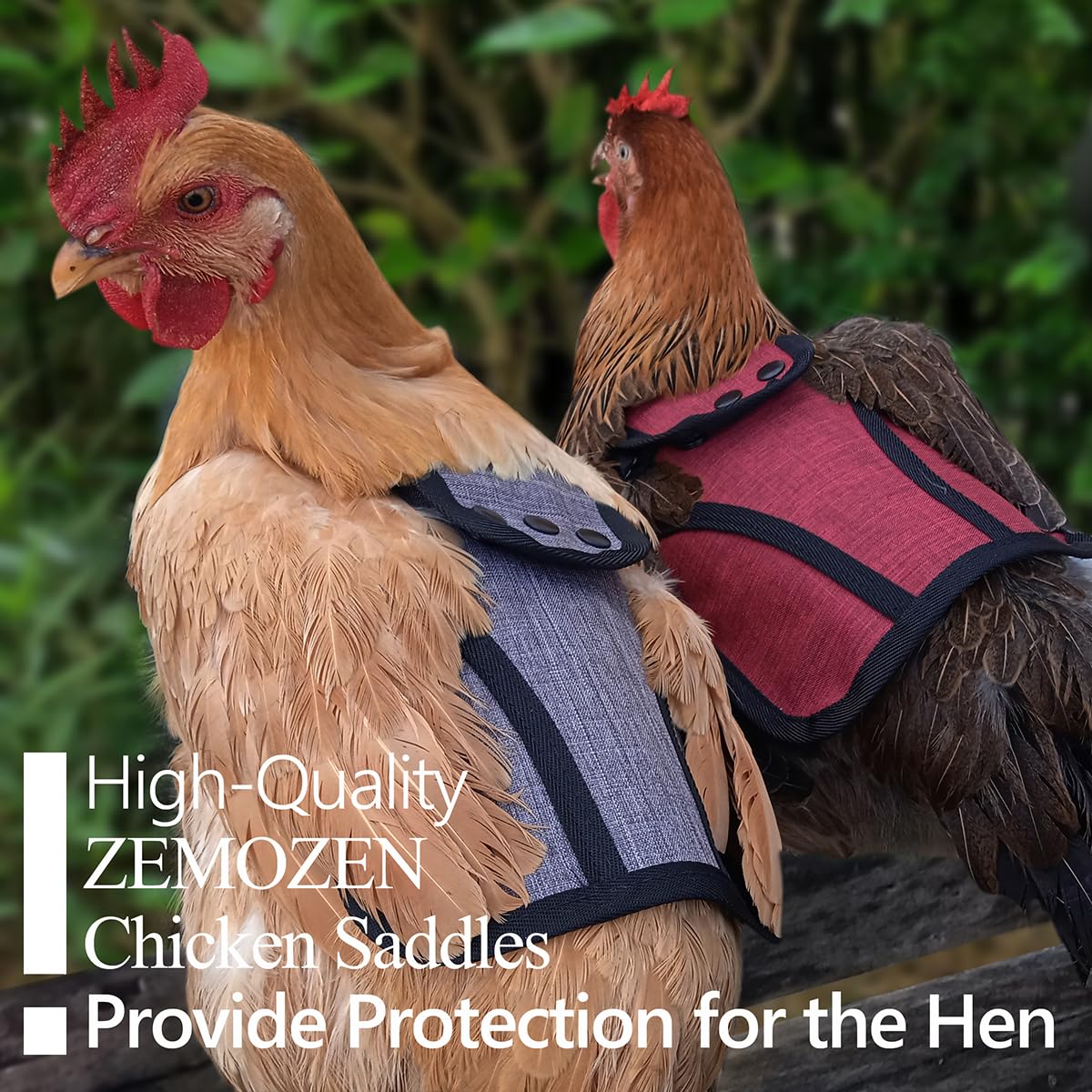 Chicken Saddle for Hens - Protective Poultry Apron to Prevent Feather Loss & Injuries | Ideal for Backyard Chickens, Egg-Laying Hens & Free-Range Poultry Care
