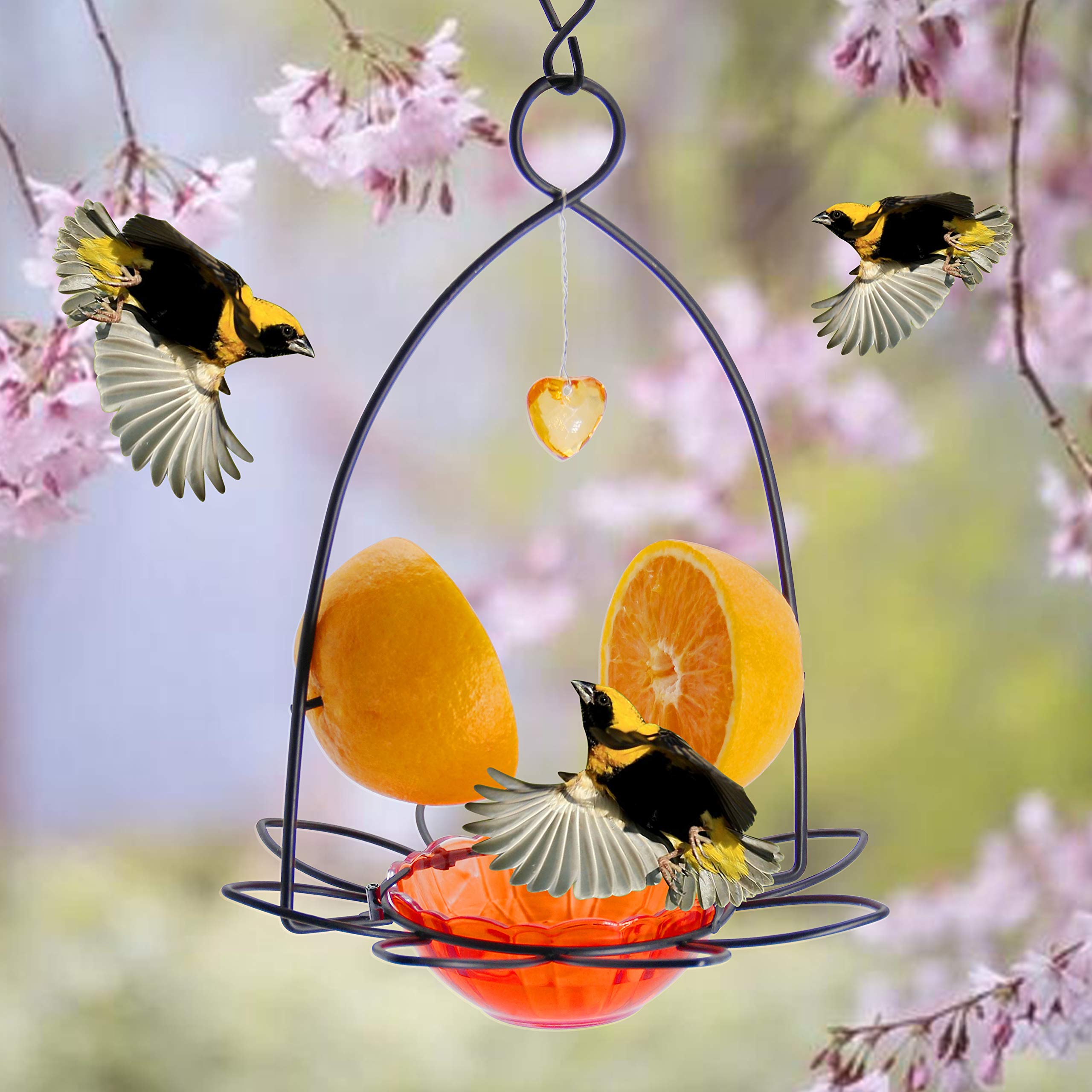 FORUP Oriole Bird Feeder with Orange Fruit Design - Attract Orioles to Your Garden | Perfect for Backyards, Patios & Outdoor Bird Watching