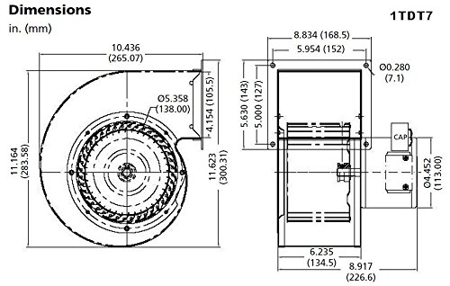 Dayton 1TDT7 High-Powered Blower Fan - 542/409 CFM, 115V, 2.00/1.54 Amp - Ideal for Workshop, Garage & Industrial Ventilation