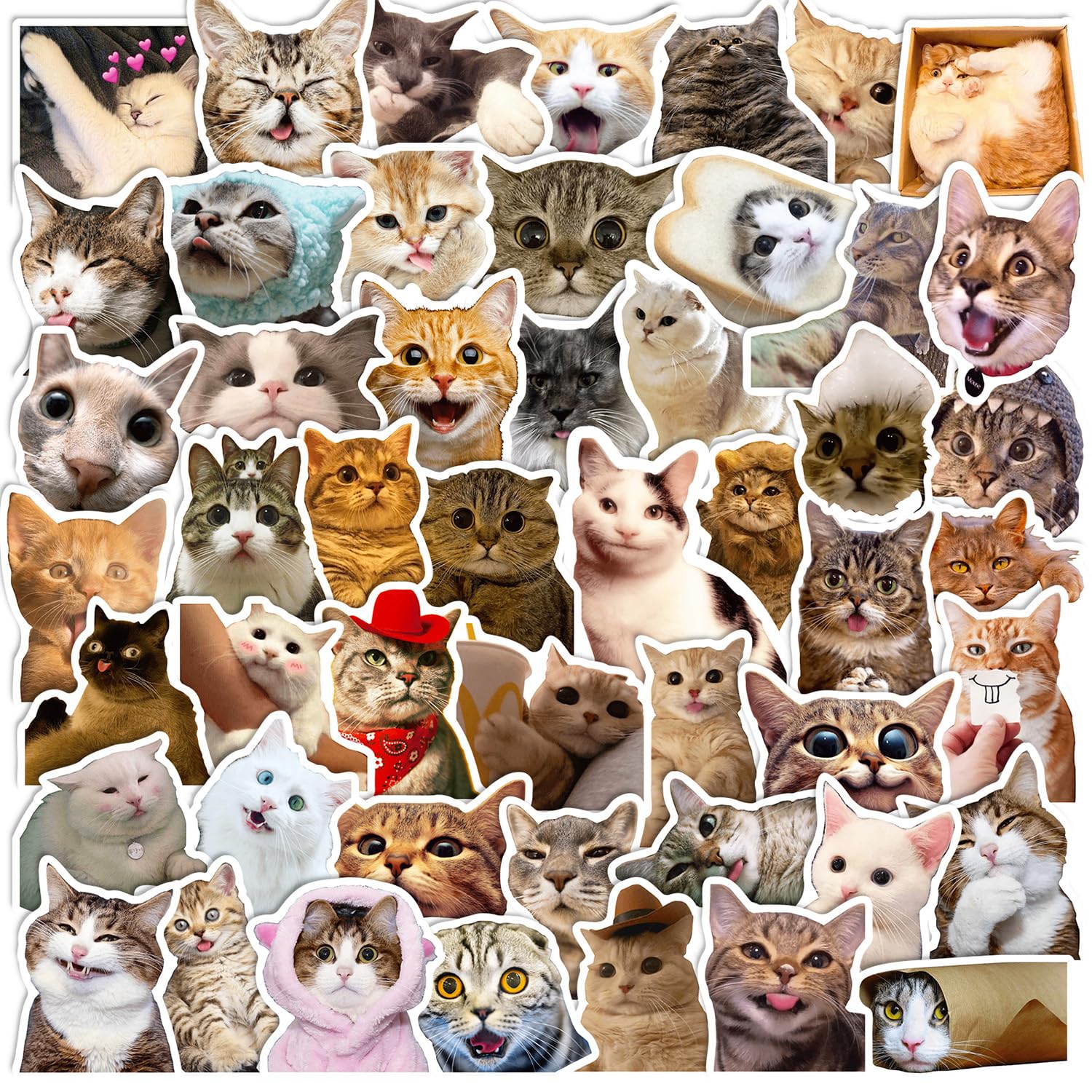 100 Pcs Waterproof Vinyl Cat Stickers for Kids - Cute Decals for Water Bottles, Laptops, Phones & Skateboards - Fun Stickers for Boys, Girls & Teens - Perfect for School, DIY Projects & Gift Giving