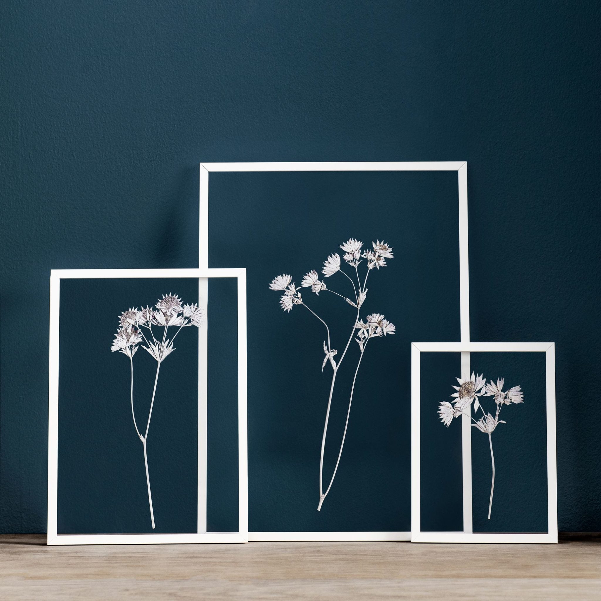 MOEBE White Powder Coated Picture Frame - 4 Sizes (8x10, 11x14, 16x20, 24x36) for Wall Art, Photo Display & Home Decor