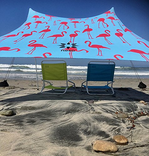Flamingos