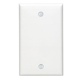 1 Gang Blank Wall Plate - Standard Size, Thermoplastic Nylon, Box Mount, White (80714 002 00W) - Perfect for Home Renovation & Electrical Projects