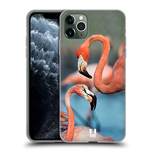 Two Great Flamingos