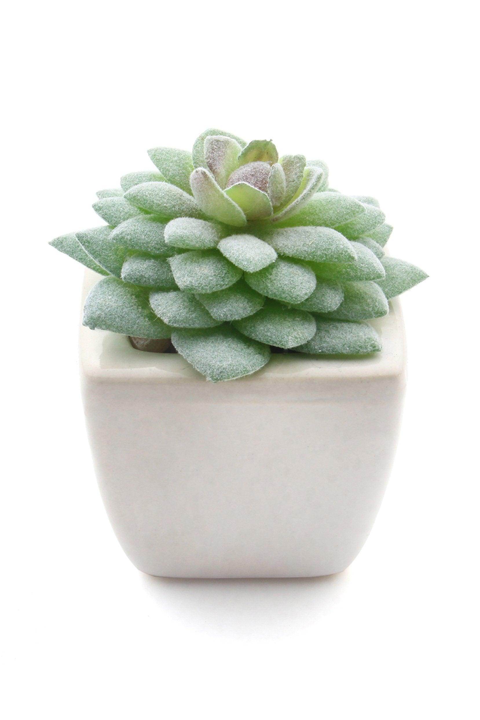 Realistic Artificial Succulent Plants Set of 6 - Low Maintenance Home & Office Desk Decor - Perfect for Indoor Greenery, Wedding Centerpieces, and Shelf Styling