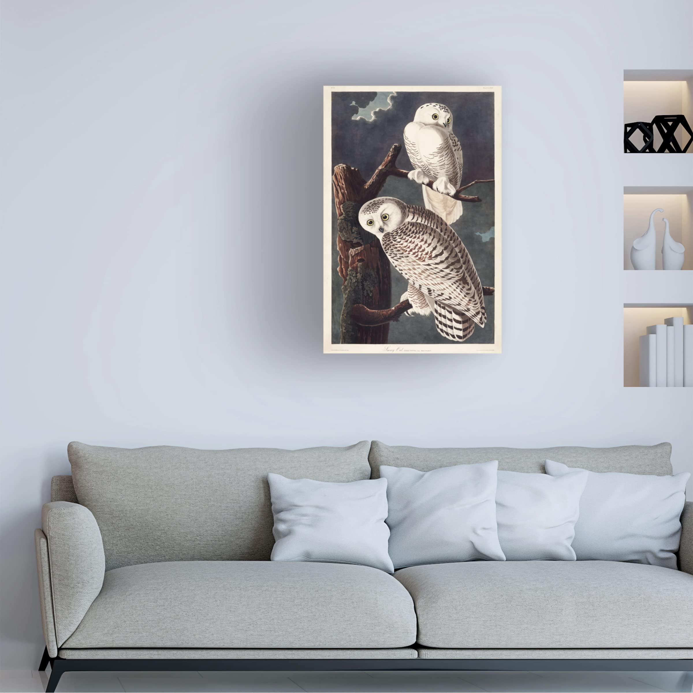 Trademark Fine Art 'Snowy Owl' Canvas Print by John James Audubon - 16x24 Inches - Premium Wildlife Wall Decor for Living Room, Bedroom & Office