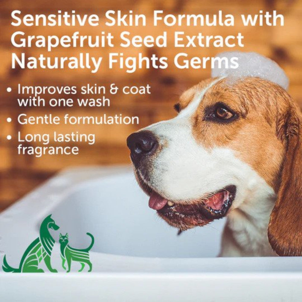 Skin & Coat Solution Cucumber Melon Shampoo for Dogs & Cats - Gentle Pet Shampoo for Itchy Skin & Shiny Fur | Perfect for Bath Time & Grooming