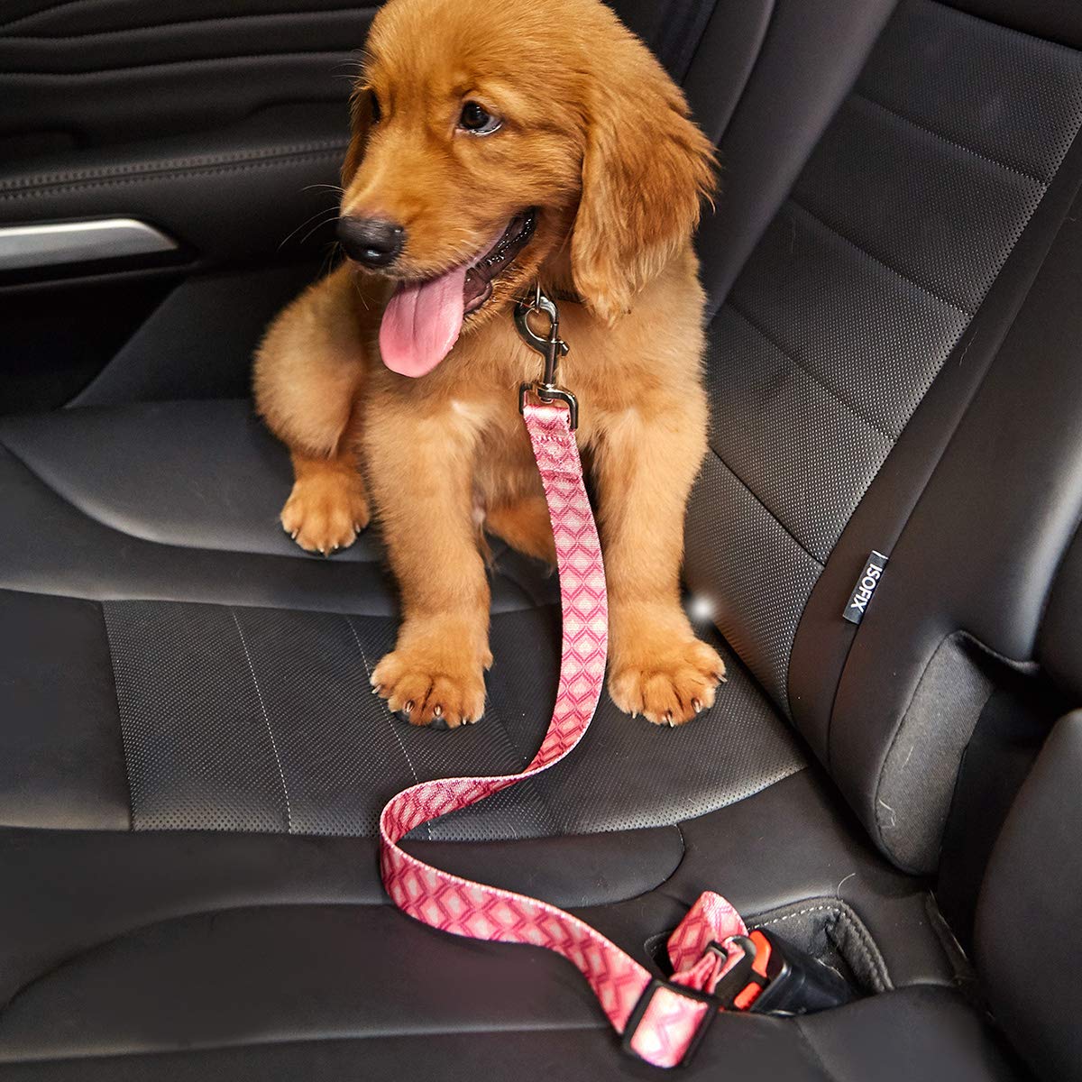 Dihapet Adjustable Pet Seat Belt for Dogs & Cats - Car Safety Harness for Small, Medium & Large Breeds - Perfect for Road Trips & Safe Car Travel with Pets
