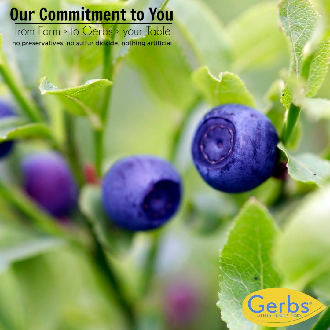 Premium Dried Cape Cod Blueberries - 10 LBS Bulk Case | Non-GMO, No Sugar Added | Perfect for Baking, Snacking & Smoothies