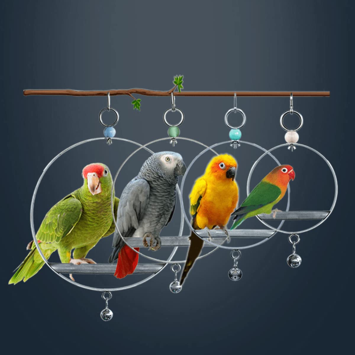 Premium Bird Swing Toy for Parrots & Cockatiels - X-Large Safe Perch Stand with Feeding Bracket | Durable Cage Accessory for Pet Birds | Perfect for Playtime & Relaxation in Aviaries