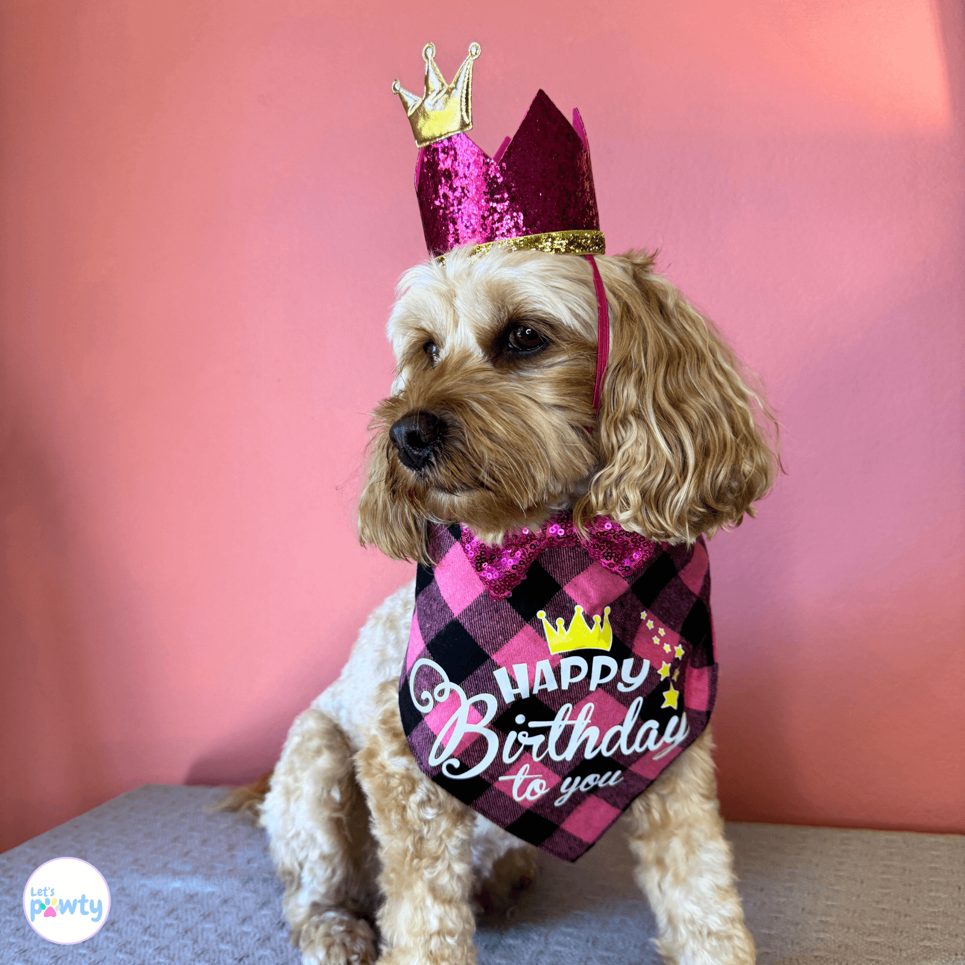 Happy Birthday Dog Outfit - Pink Crown, Bow Tie & Bandana Set for Small Dogs | Perfect for Birthday Parties & Photo Shoots