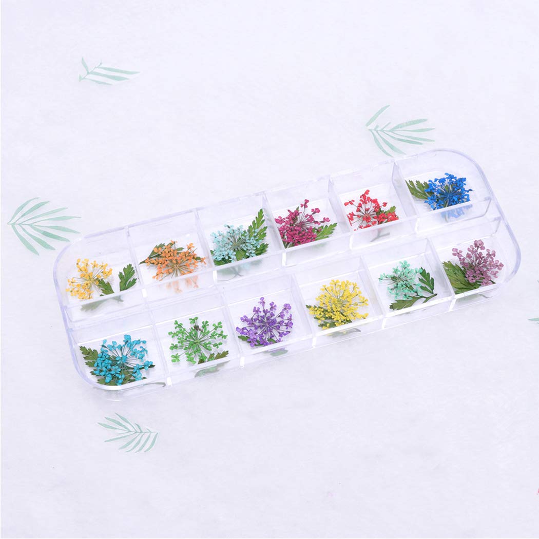 SOWUNO Dried Flower Nail Art Stones - 3D Nail Decorations & Jewel Accessories for DIY Manicure - Perfect for Wedding, Party, and Salon Nail Art Designs