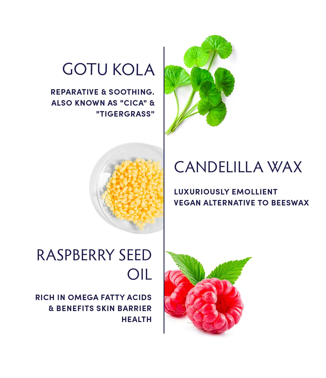 Naturopathica Gotu Kola Intense Repair Balm for Dry Skin - Organic Face Moisturizer with Centella Asiatica - Perfect for Nighttime Skincare Routine & Anti-Aging Treatment