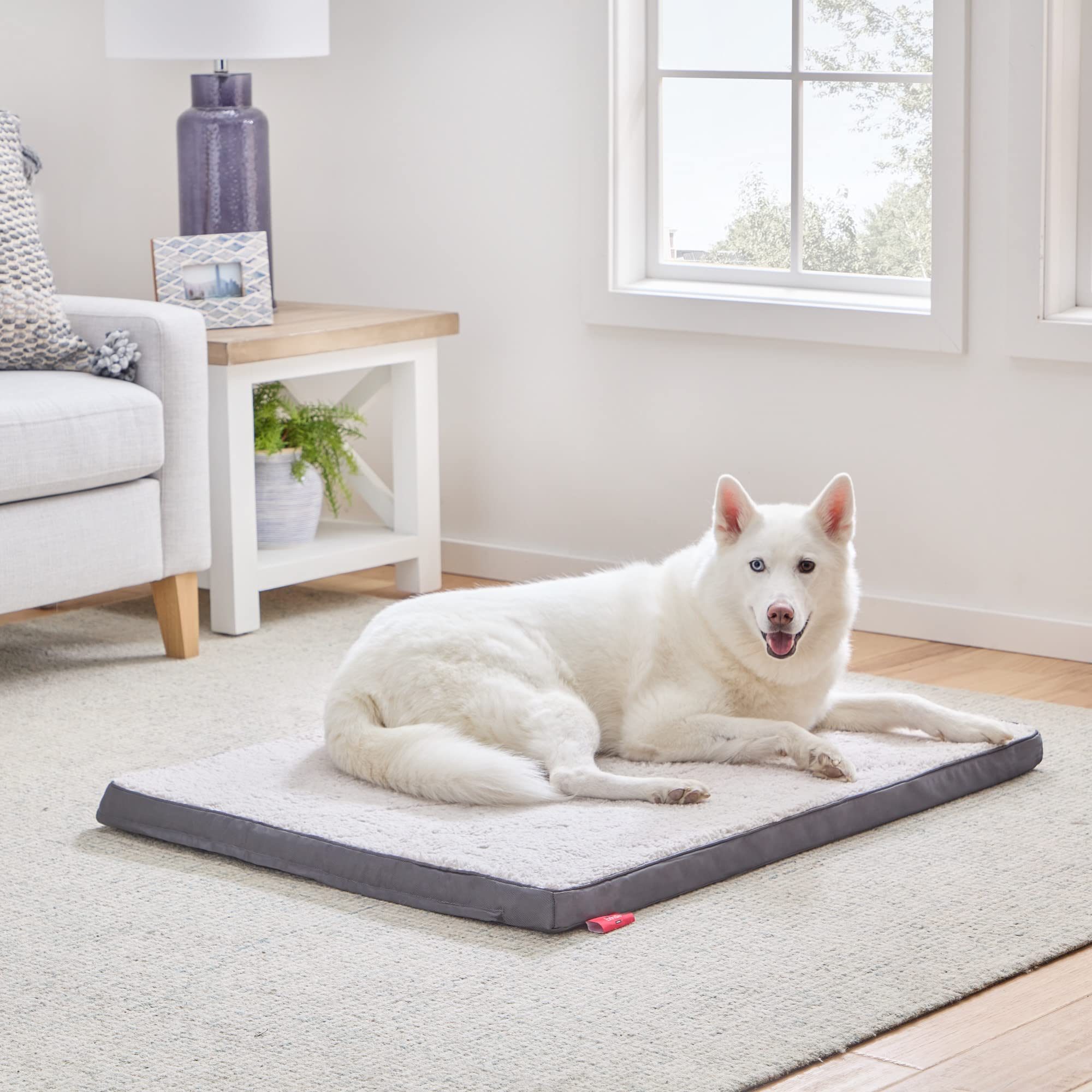 Brindle Orthopedic Dog Bed for Large Dogs - 2