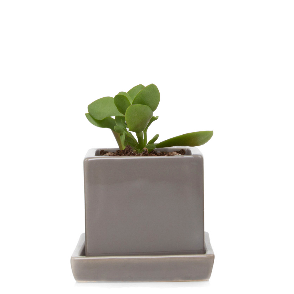 Ceramic Plant Pot with Drainage Hole - Cube & Saucer Planter for Indoor Plants, Succulents, Herbs | Perfect for Home Decor, Office Desk & Garden Use