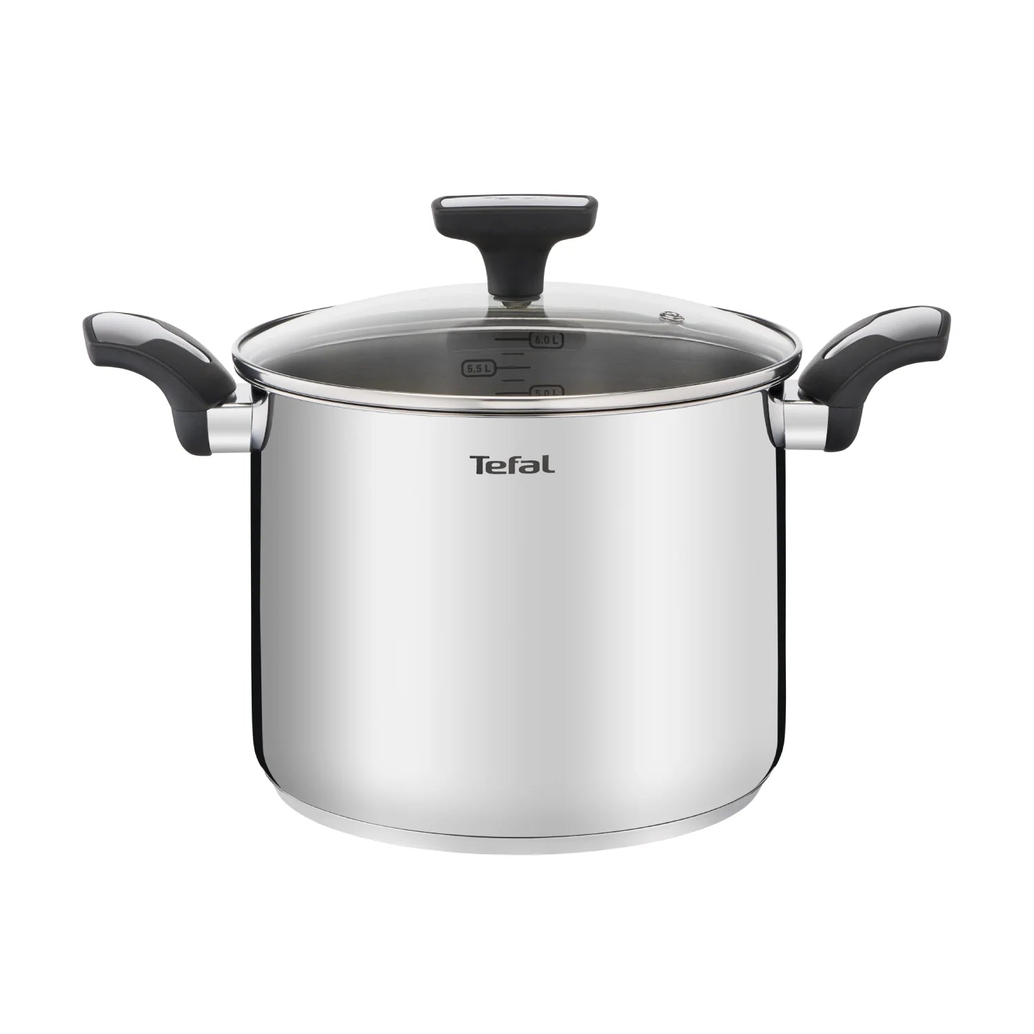 Tefal Emotion Induction Stainless Steel Stockpot 22cm/6L - Premium Cookware for Soups, Stews & Pasta - Perfect for Family Dinners & Entertaining