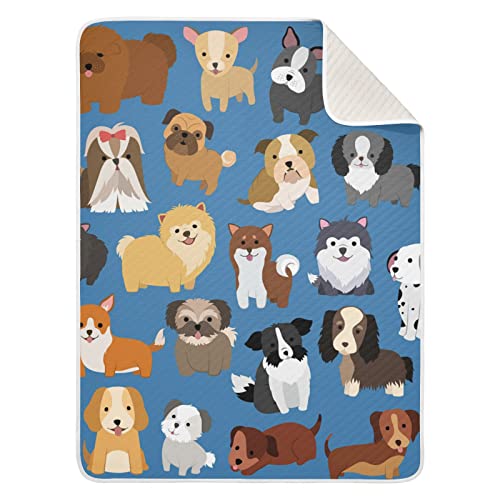 15-dog