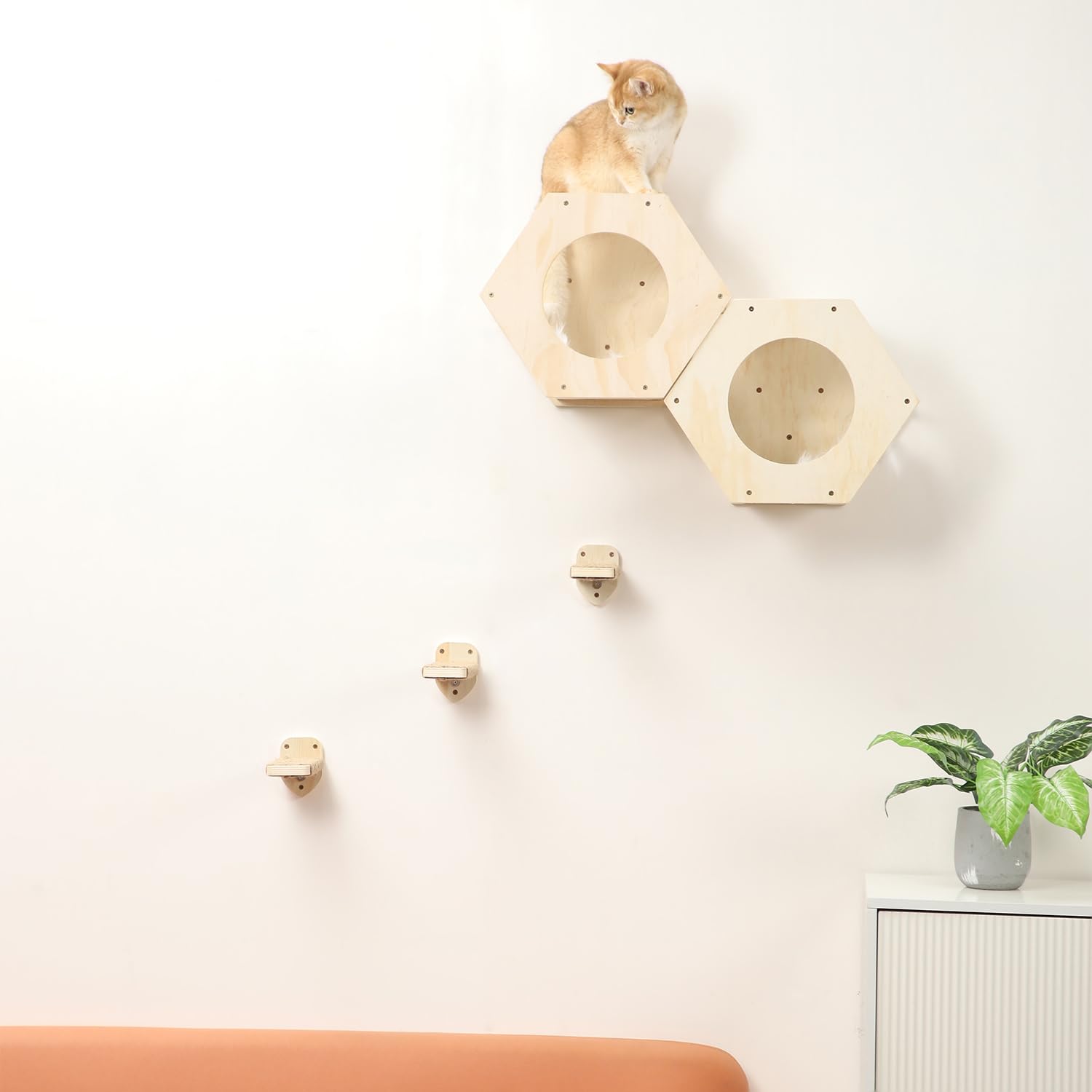 Premium Cat Wall Shelves with 3-Step Scratcher & Plush Hammock - Natural Wood Climbing Shelves for Indoor Cats - Wall Mounted Cat Furniture for Play, Rest & Vertical Space Exploration