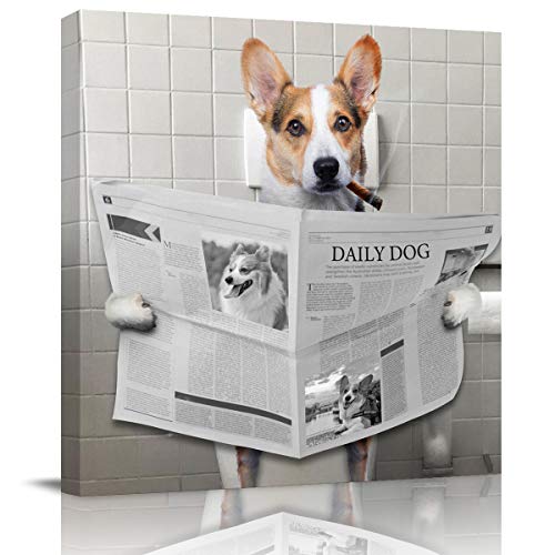 Read the Newspaper in the Toiletlop1744