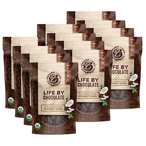 Organic Raw Dark Chocolate Covered Coconut Chunks - Dairy Free, No Sugar Added, Vegan Superfood Snack - Pack of 12 | Healthy Dessert, Energy Boost & On-the-Go Treat