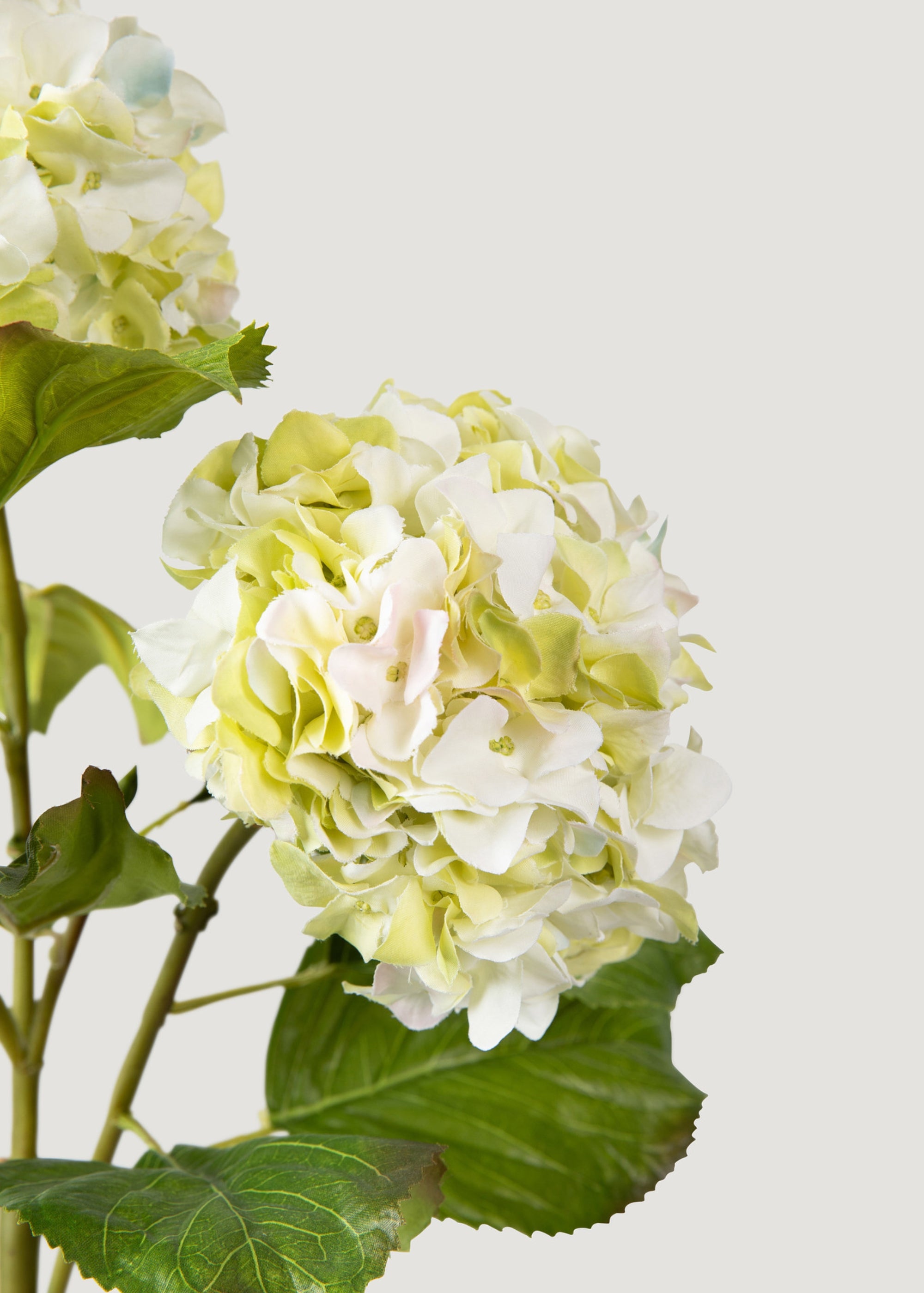 Premium Cream Green Artificial Hydrangea Branch - 36