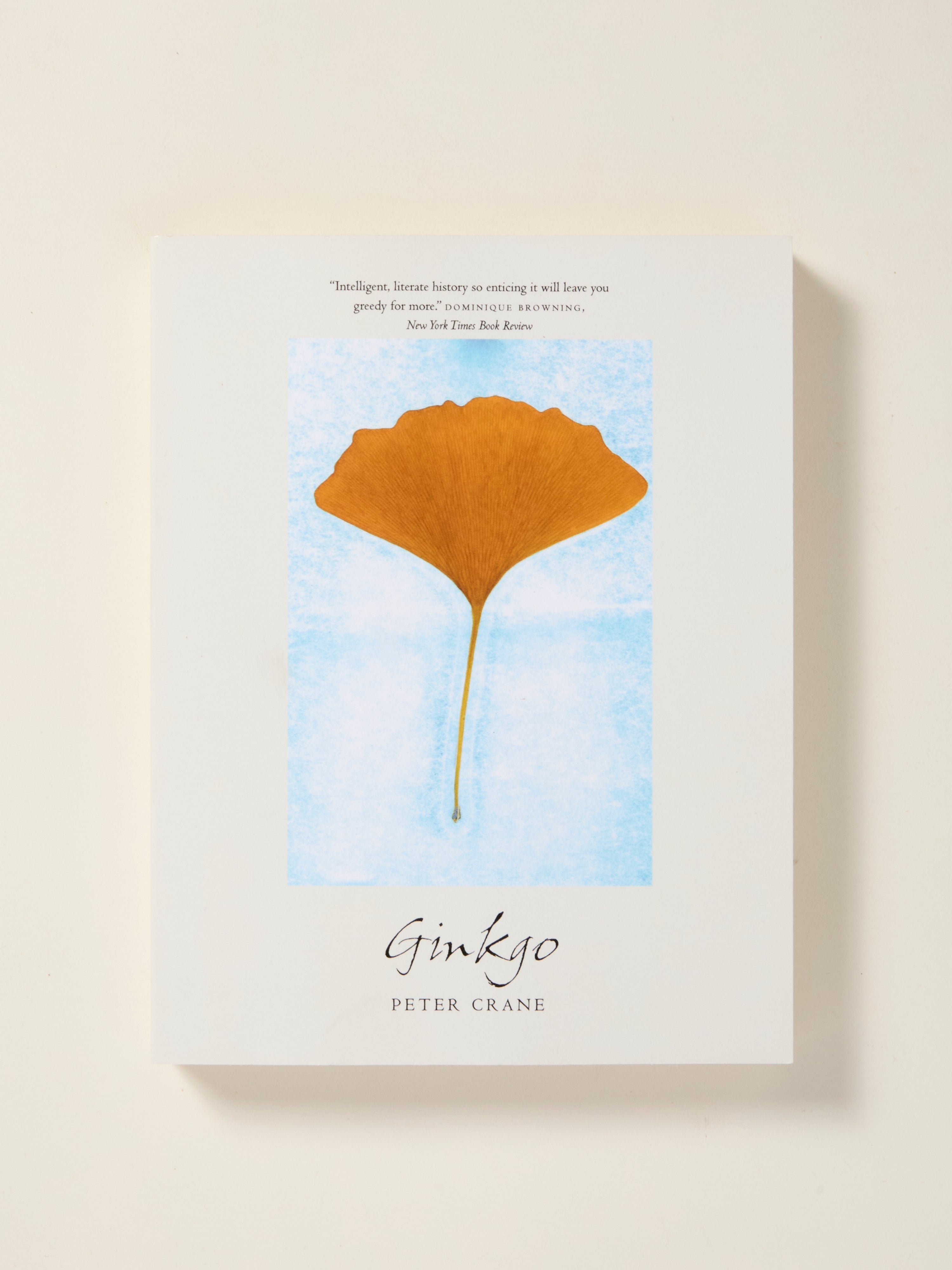 Ginkgo Biloba Tree: Ancient Living Fossil for Landscaping, Gardening & Natural Health Benefits | Perfect for Zen Gardens & Urban Green Spaces