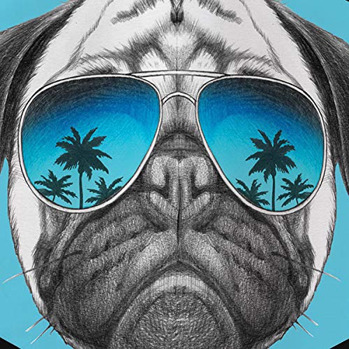 Shades Pug