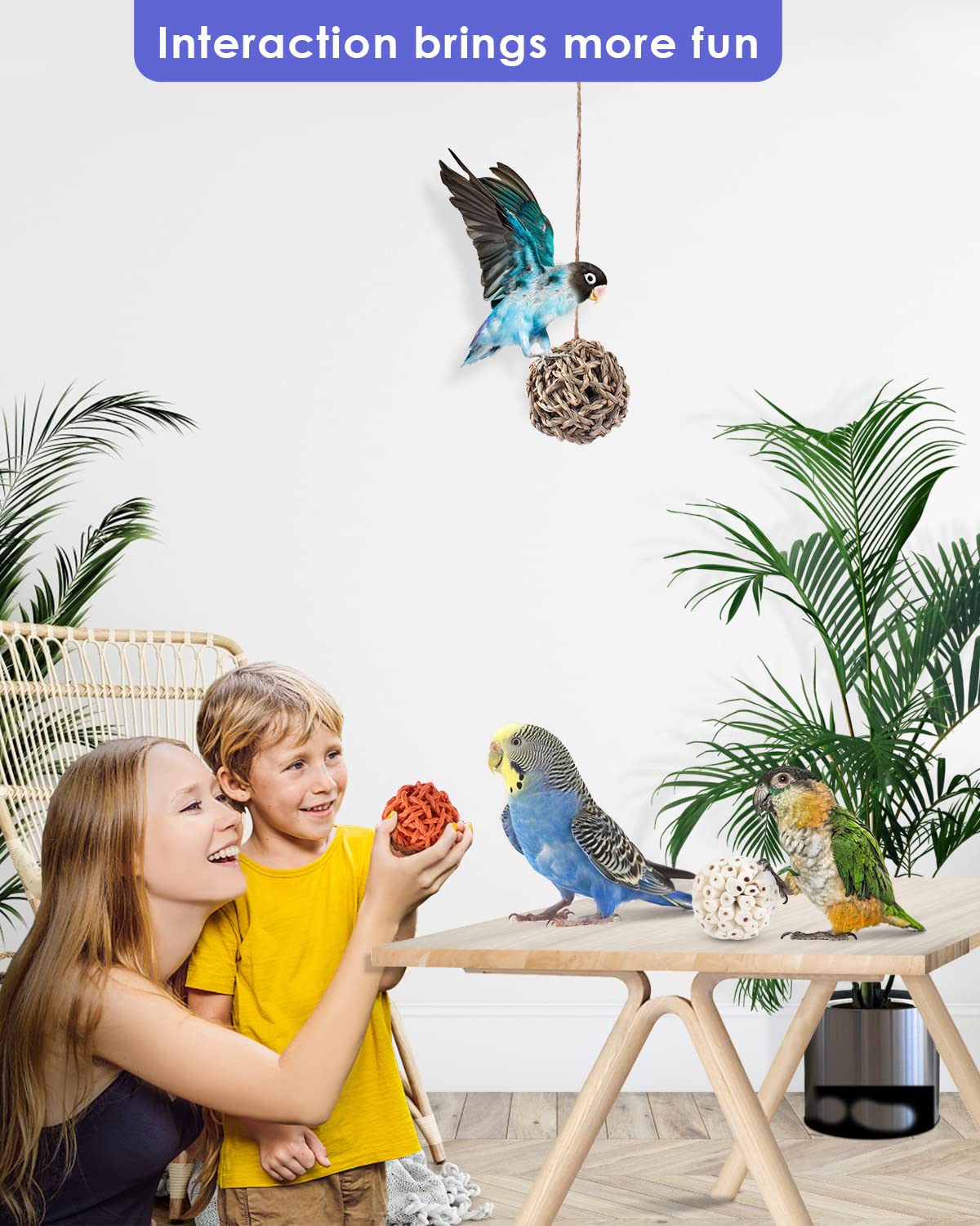6PCS Small Parrot Chew Toys - Colorful Sola Balls Bird Foraging Toys for Cockatiels, Conures, Cockatoos, Parakeets & Lovebirds | Cage Biting & Chewing Enrichment | Perfect for Mental Stimulation & Beak Exercise