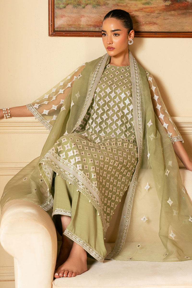 Elegant Minted Sage 4-Piece Embroidered Organza Suit Set for Women – Perfect for Weddings, Parties & Special Occasions