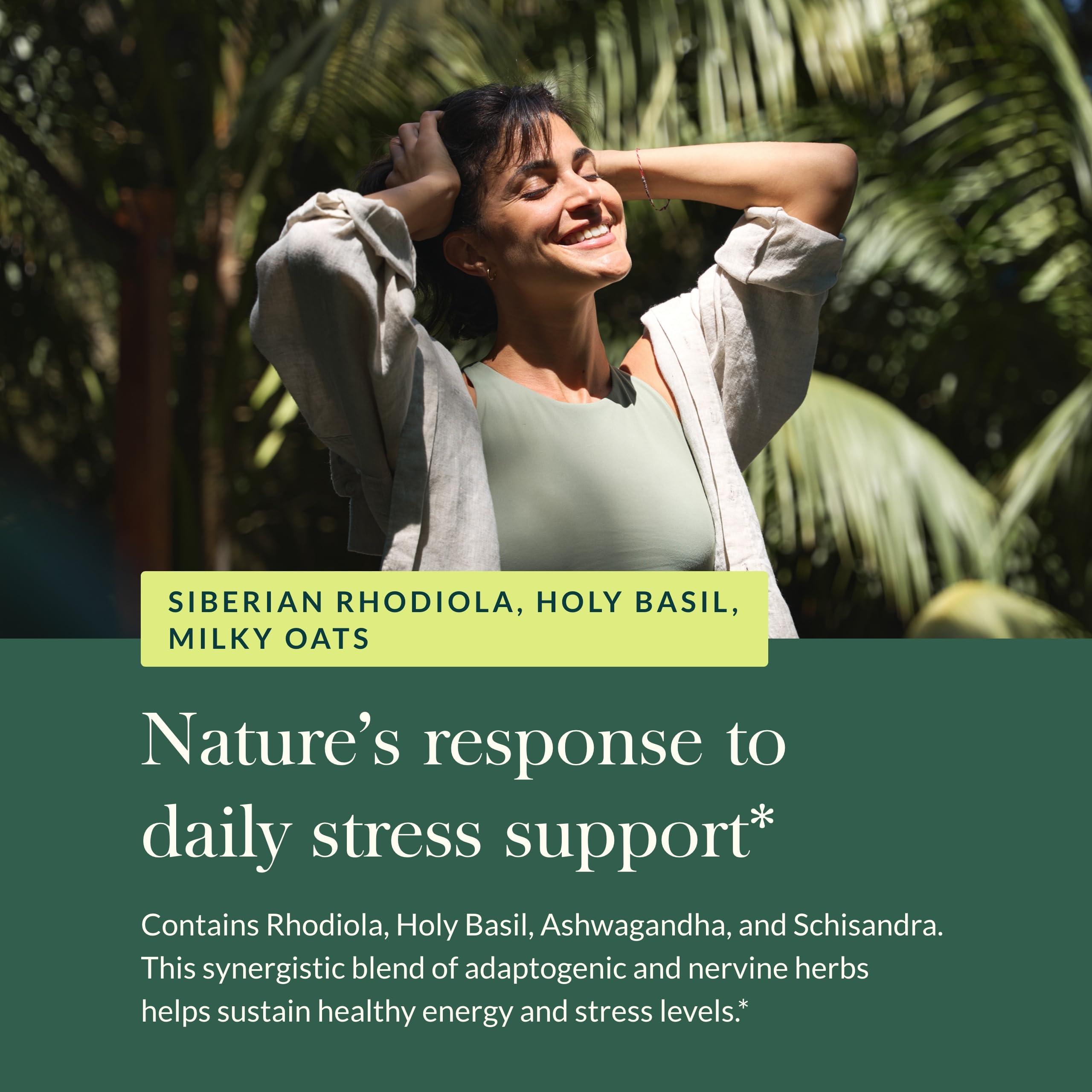Gaia Herbs Adrenal Health Daily Support Supplement with Ashwagandha, Holy Basil & Schisandra - 60 Liquid Phyto-Capsules for Energy & Stress Relief - Natural Herbal Support for Busy Professionals & Students