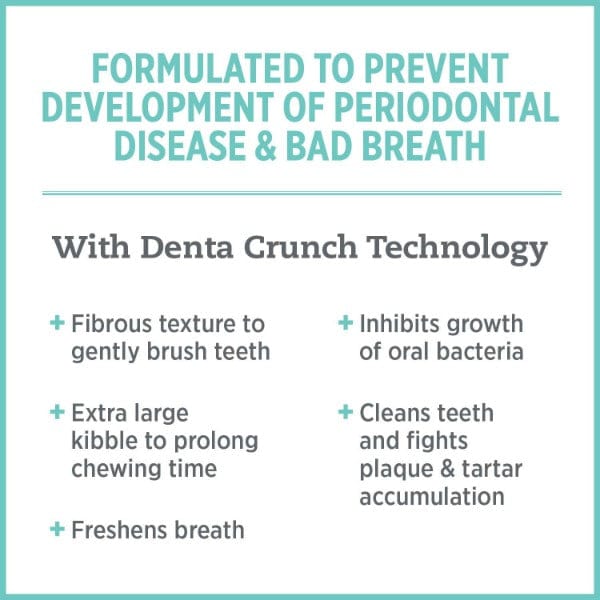 Nutrience Care+ Oral Health Dry Cat Food for Adult Cats - Dental Care & Tartar Control - Premium Kibble for Healthy Teeth & Gums - Perfect for Indoor & Outdoor Cats