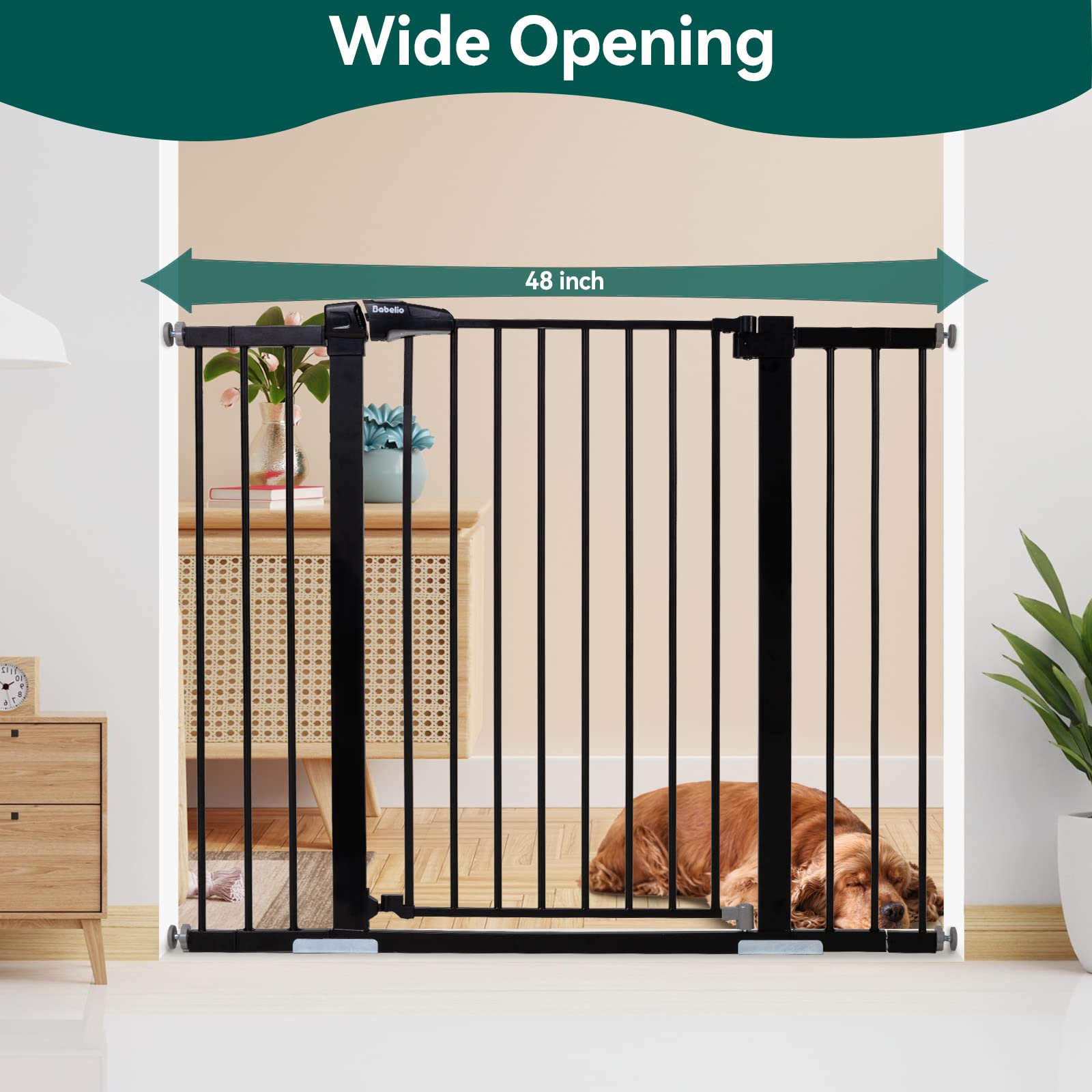 BABELIO 36