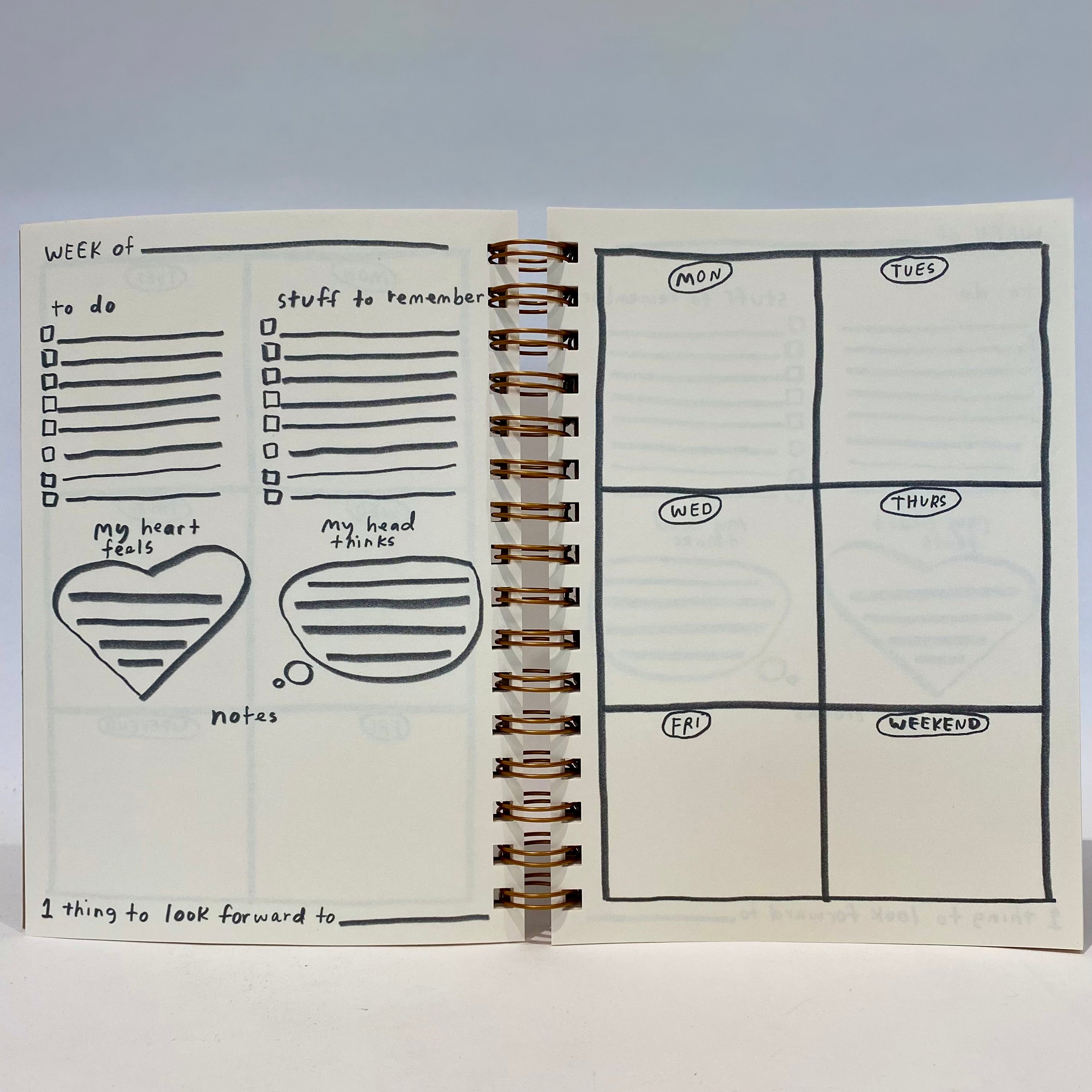 12 Month Planner 2024 - Undated Weekly & Monthly Calendar for Goal Setting, Productivity & Time Management - Perfect for Students, Professionals & Entrepreneurs - Home, Office & School Use