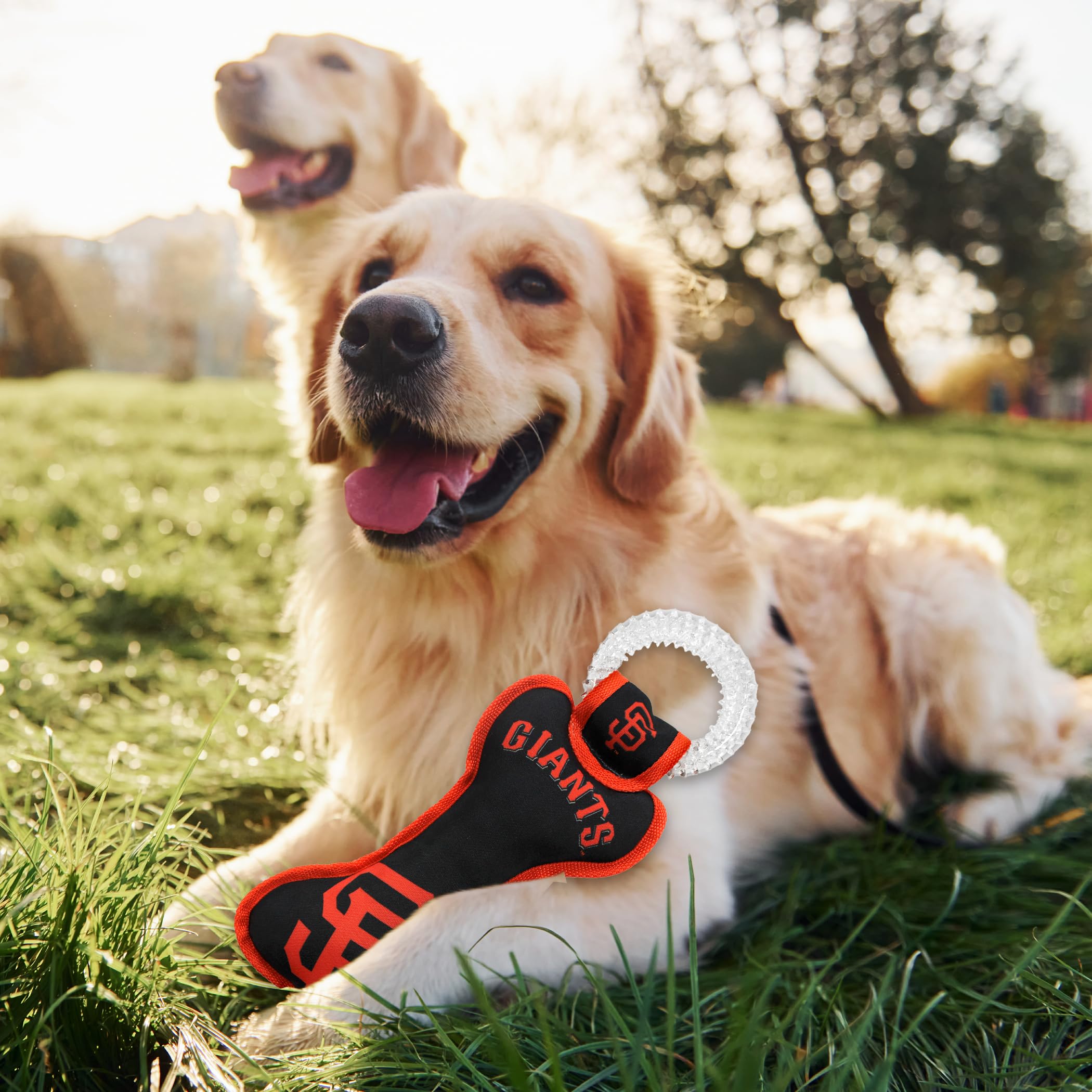 MLB San Francisco Giants Bone Shaped Dog Chew Toy with Squeaker - Durable Dental Tug Toy for Puppy Teething, Teeth Cleaning & Gum Health - Perfect for Playtime, Training & Interactive Fun