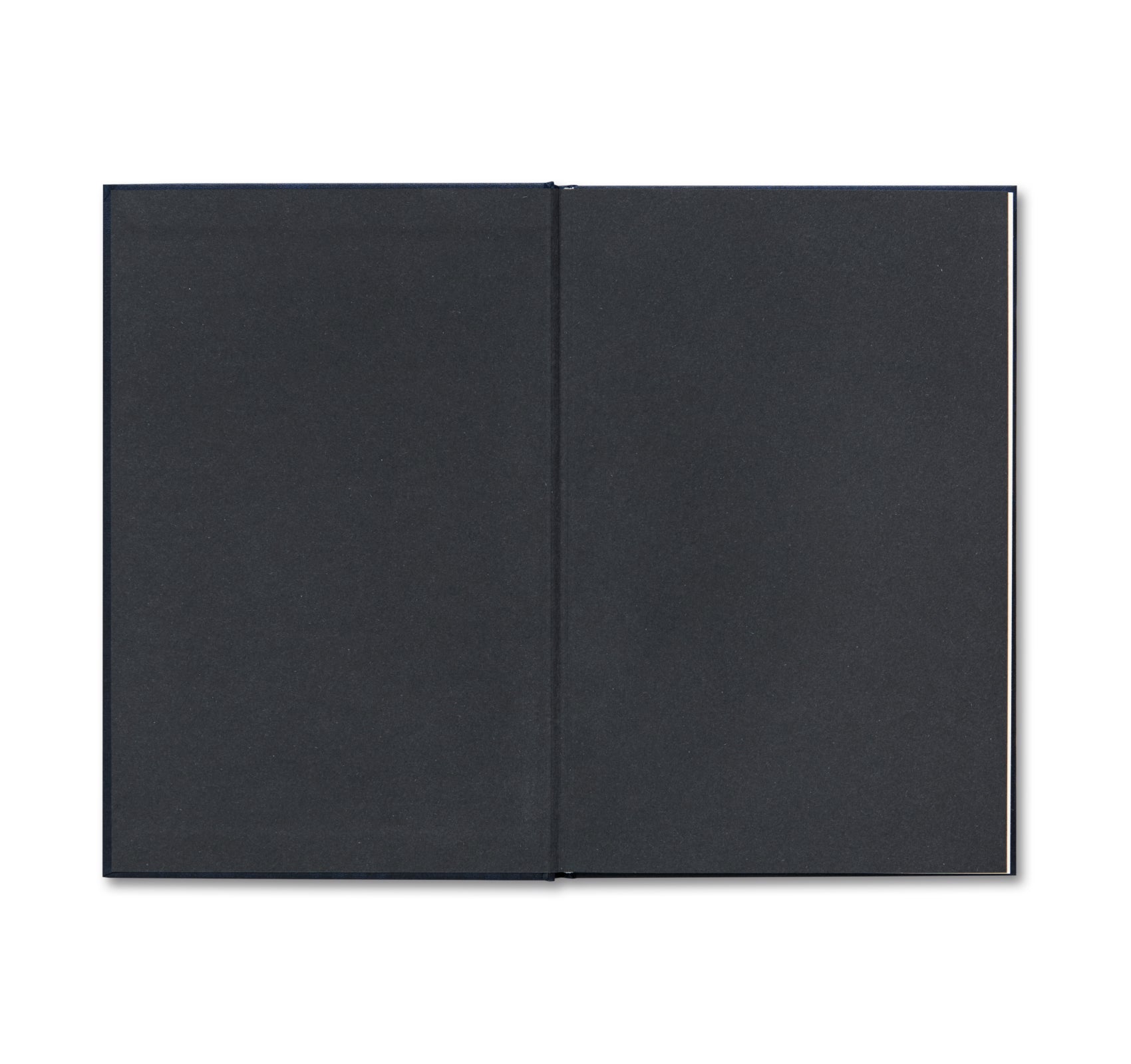 Henry Wessel's A Dark Thread - French Edition Photography Book | Black & White Urban Landscape Art | Perfect for Photography Enthusiasts & Art Collectors