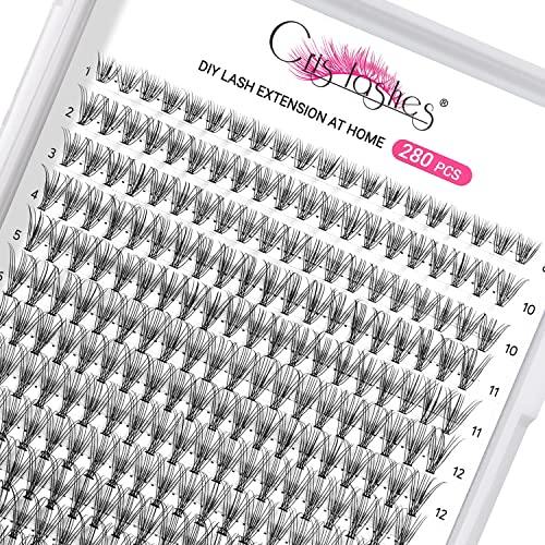 280 PCS DIY Cluster Lashes - 10D 0.10 C Curl 8-16mm Reusable Individual Eyelash Extensions, Soft Natural Lashes for Home & Professional Use - Perfect for Bridal, Party, and Daily Makeup Looks