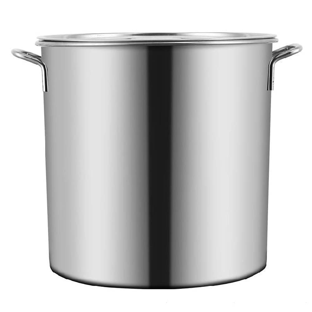 Lyongt 40 Quart Stainless Steel Stock Pot with Lid - Heavy Duty 304 Nickel-Free Soup Pot for Cooking, Boiling, Stewing - Perfect for Large Family Meals, Catering & Outdoor Events (20L/18 qt, Polished Finish)
