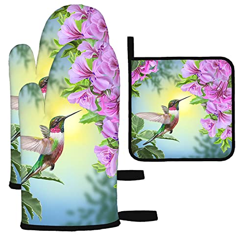 Hummingbirds2