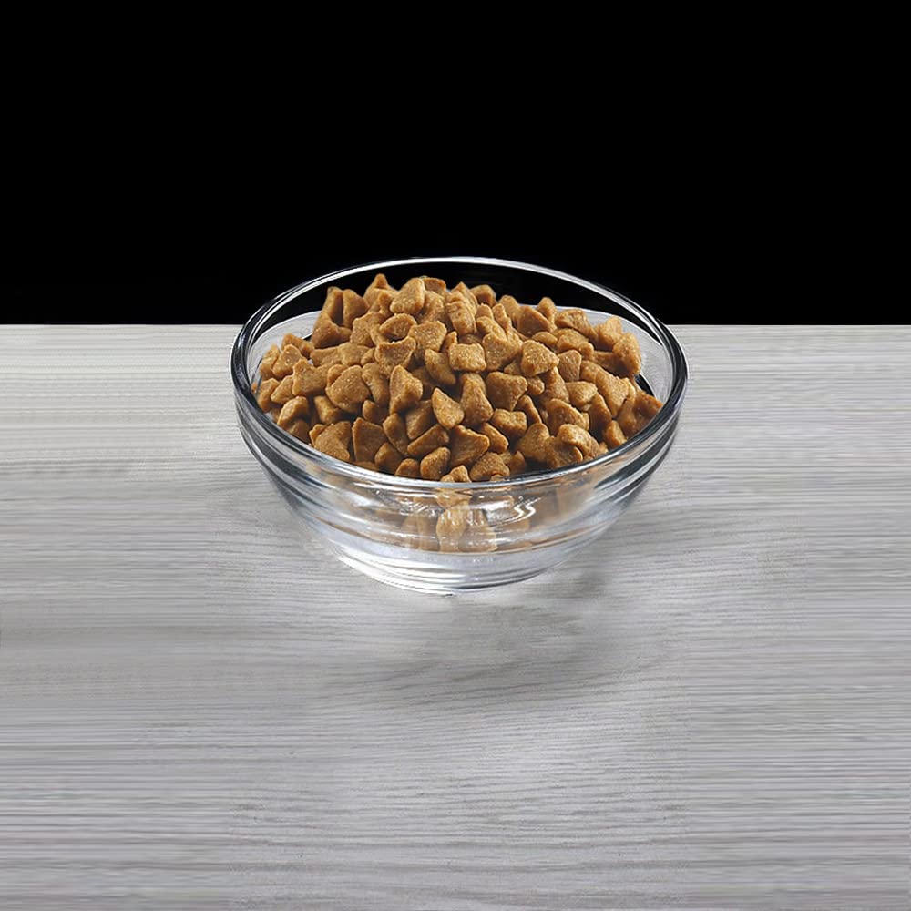 Feoyoho Feeder Replacement Glass Bowl - 13.7oz Pet Food & Water Dish - Dishwasher & Microwave Safe - Perfect for Small Pets, Birds, and Reptiles - Durable & Easy to Clean Feeding Accessory