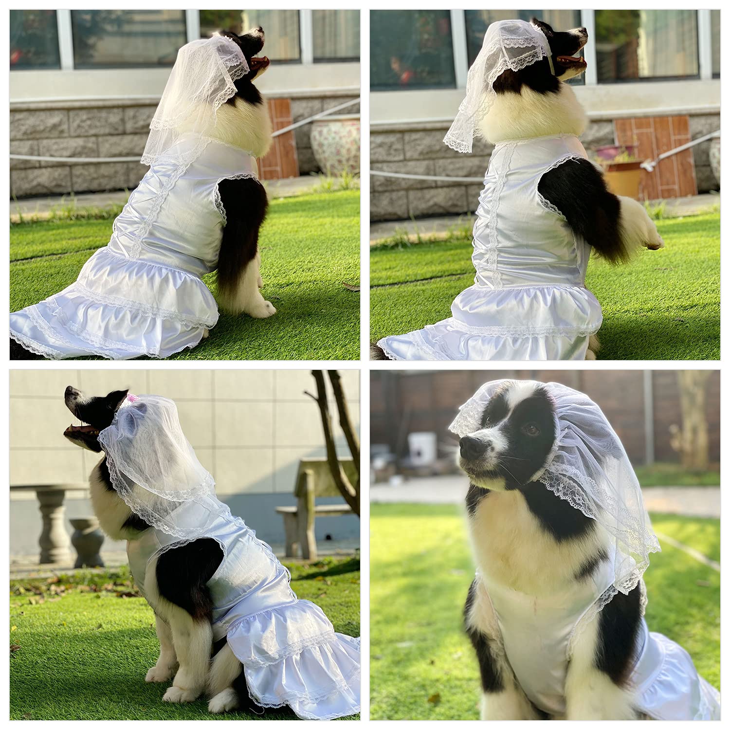 Luxury Lace Dog Wedding Dress with Headpiece - Soft & Comfortable Bride Costume for Small, Medium & Large Dogs (White, XL) | Perfect for Pet Weddings, Photo Shoots & Special Occasions