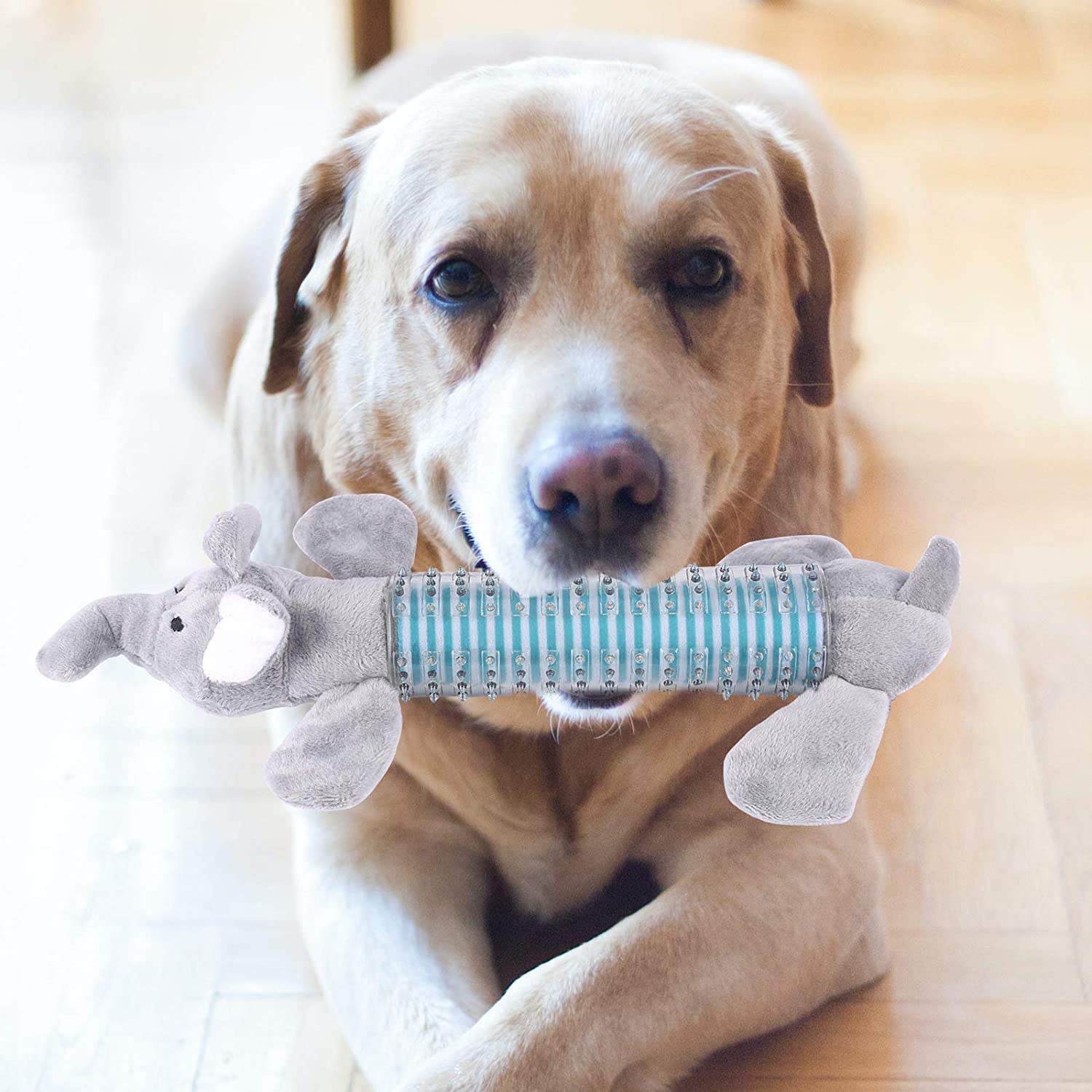 **3 Pack Plush Squeaky Dog Chew Toys – Indestructible & Durable Dental Chew Toys for Small & Medium Dogs – Natural Material Puppy Toothbrush Toys (Gray) – Perfect for Teething, Playtime & Dental Care**