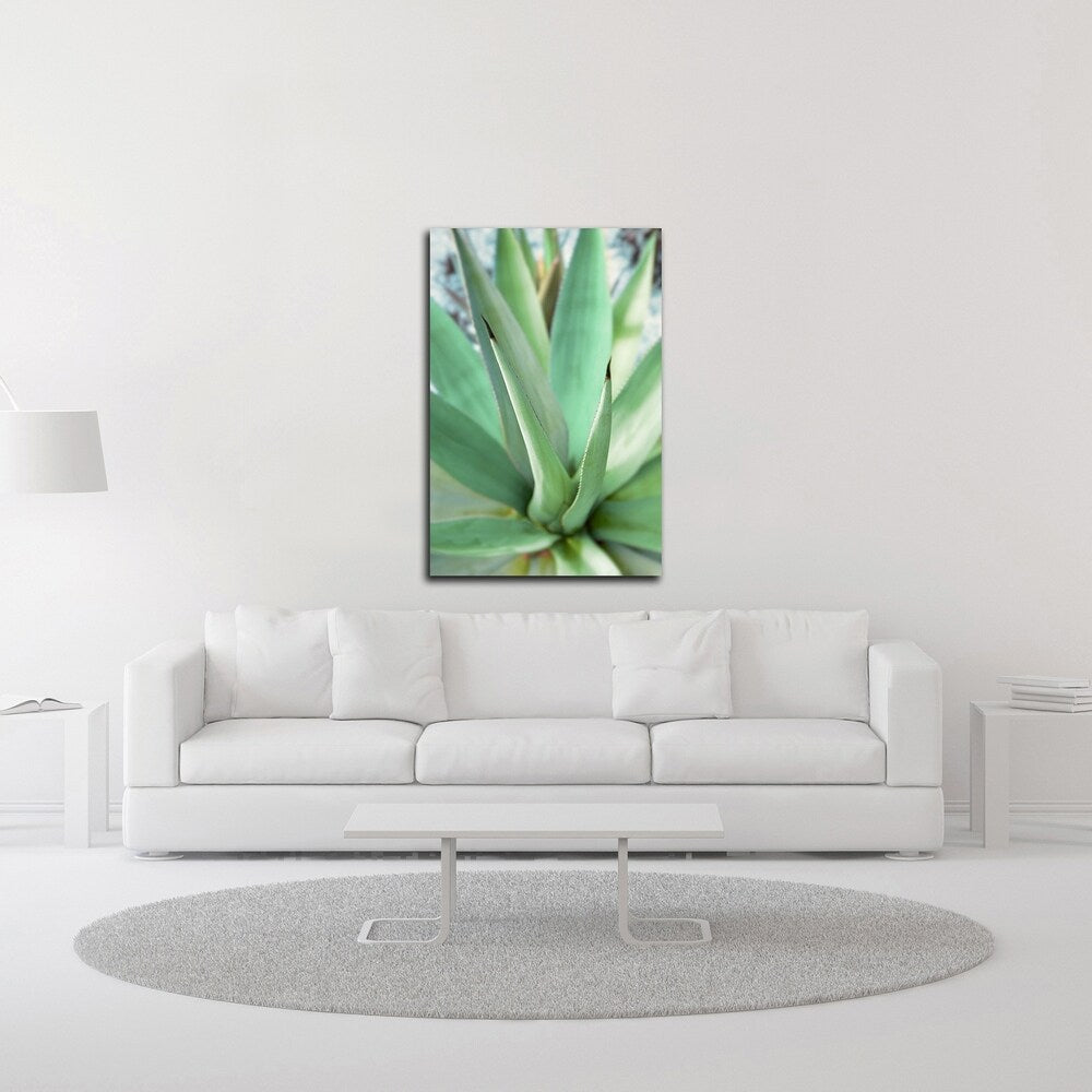 Agave Succulent 1 by Alan Blaustein - Premium Canvas Wall Art Print - Ready to Hang - Perfect for Home, Office & Living Room Decor