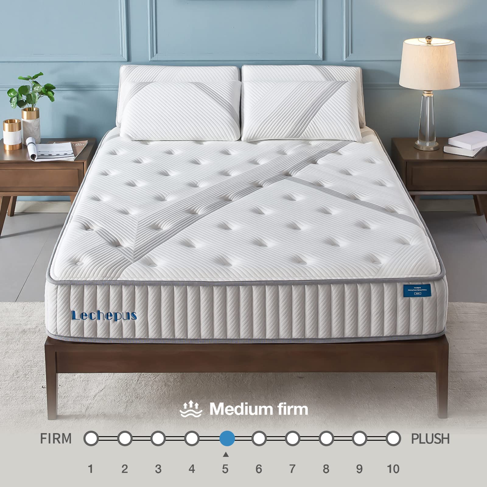 Lechepus 10 Inch Queen Hybrid Mattress in a Box - Memory Foam & Pocket Innersprings for Motion Isolation, Medium Firm Support with Breathable Soft Cover (10-Year Warranty) - Perfect for Bedrooms, Guest Rooms & Apartments
