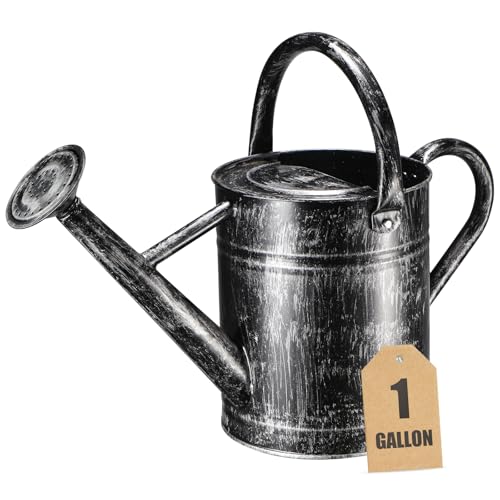 Rustic Silver