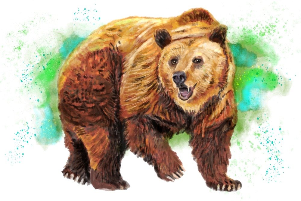 Grizzly Bear Watercolor Art Print - 24x36 Giclee Gallery Quality Poster, Wildlife Wall Decor for Living Room, Office & Cabin - Nature Inspired Travel Poster for Bear Lovers & Outdoor Enthusiasts