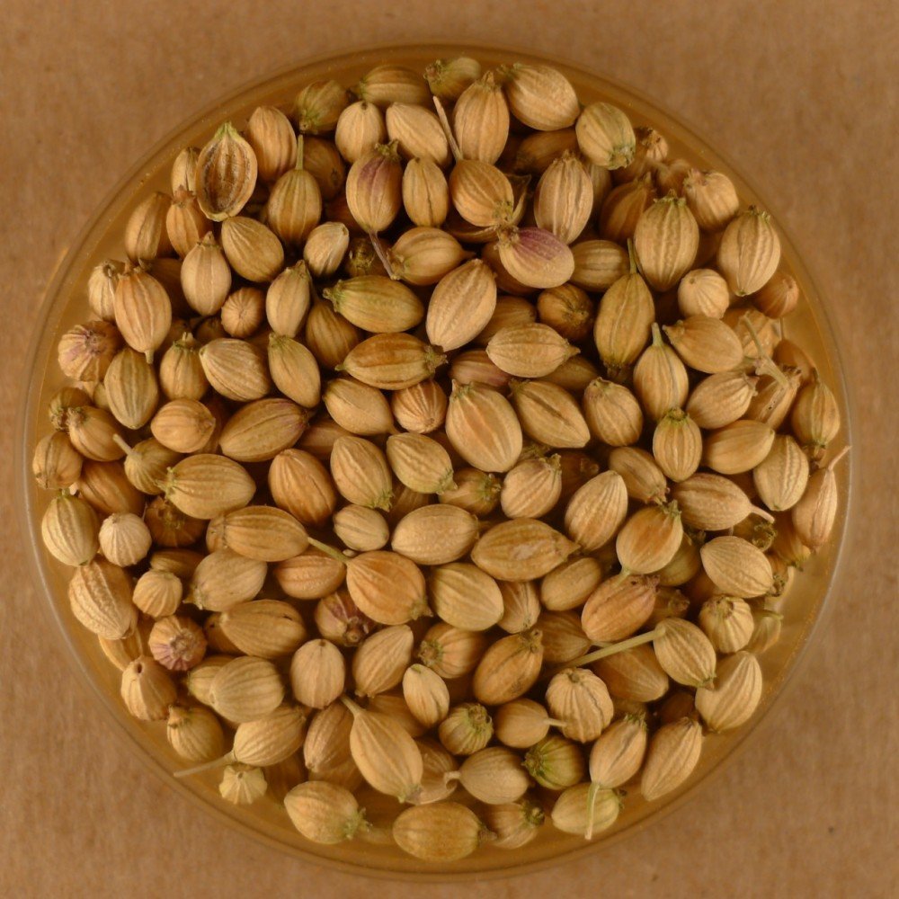 Organic Coriander Seeds Whole - 25 lbs Bulk | Premium Quality Spice for Cooking, Baking & Seasoning | Perfect for Indian, Mexican & Middle Eastern Cuisine